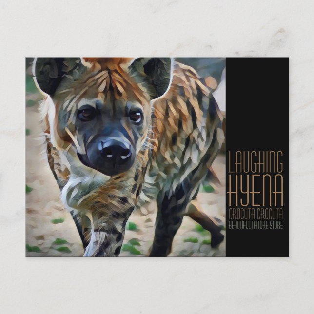 Laughing hyena [Postcard] Postcard (Front)