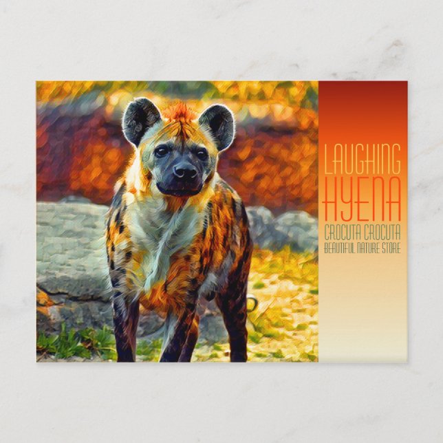 Laughing hyena [Postcard] Postcard (Front)