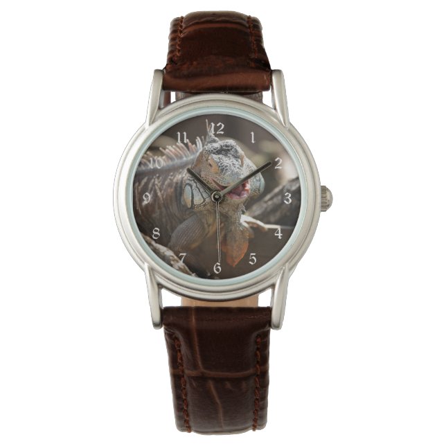 Laughing Iguana Photo Watch (Front)