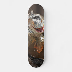 Laughing Iguana Photography Skateboard