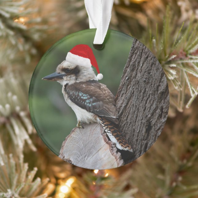 Laughing Kookaburra Bird Christmas Red Santa Hat Ornament (Tree)