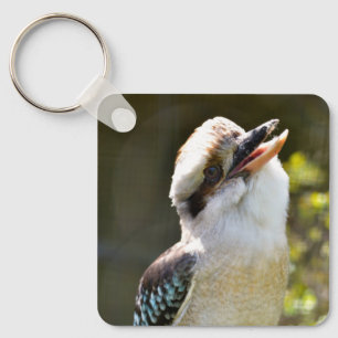 Laughing Kookaburra perched on branch Postcard Squ Keychain