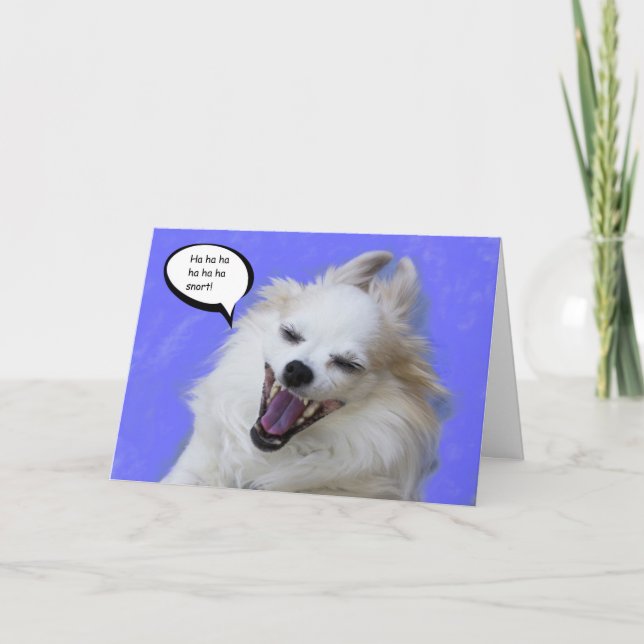 Laughing Long Hair Chihuahua by Focus for a Cause Card (Front)