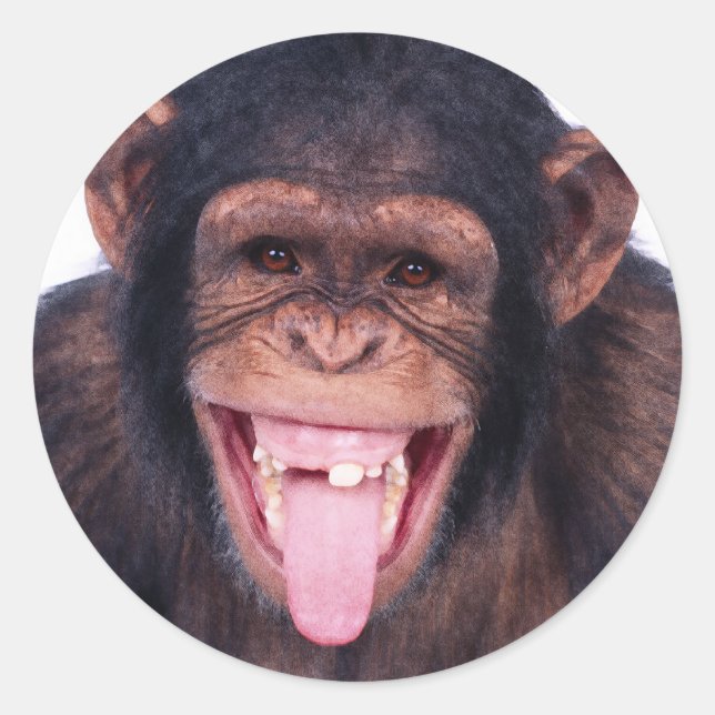 Laughing Monkey Classic Round Sticker (Front)