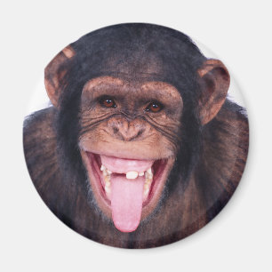 Laughing Monkey Magnet
