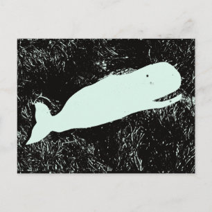 laughing white whale postcard