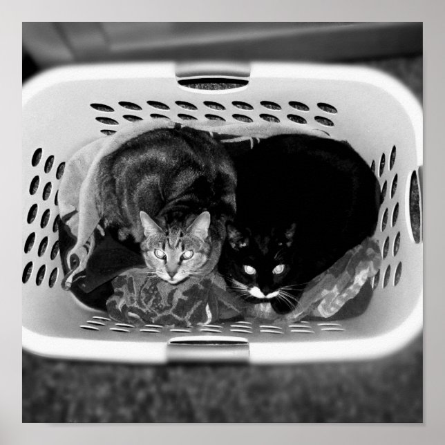 Laundry Basket Kitties B+W Poster (Front)