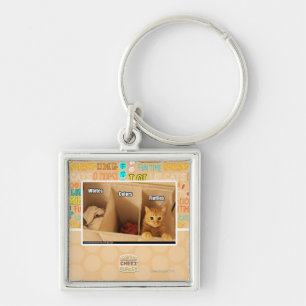 Laundry Cat Keychain