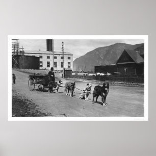 Laundry Dog Team Alaska 1904 Poster