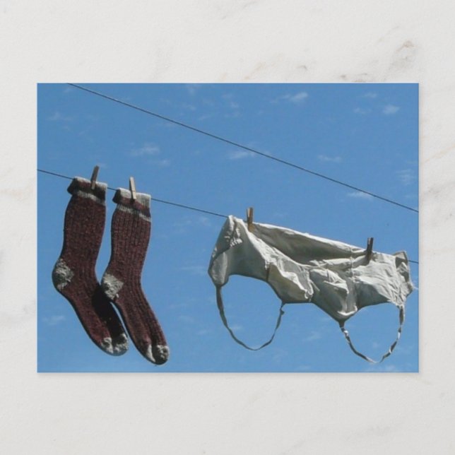 Laundry on the Line Postcard (Front)