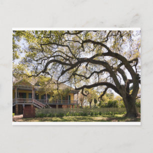 Laura Plantation,  New Orlean Postcard
