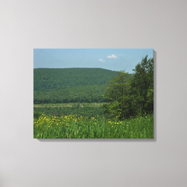Laurel Highlands Pennsylvania Summer Photography Canvas Print (Front)