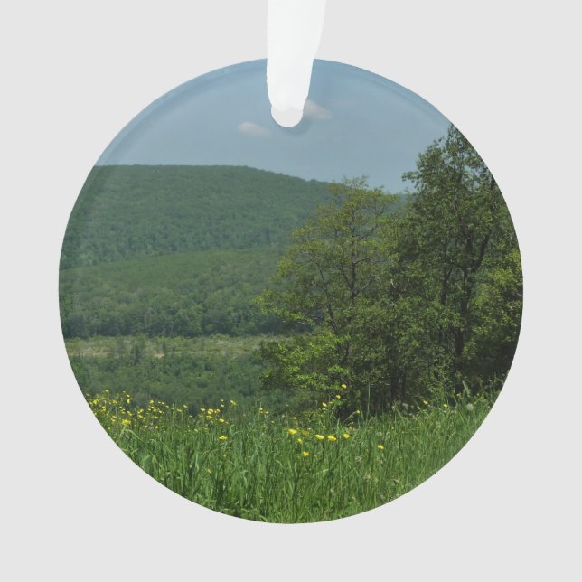 Laurel Highlands Pennsylvania Summer Photography Ornament (Front)