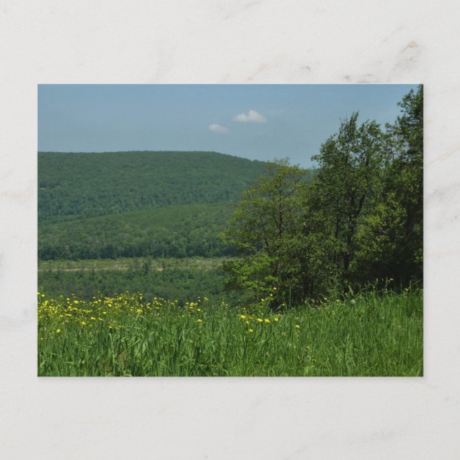 Laurel Highlands Pennsylvania Summer Photography Postcard (Front)
