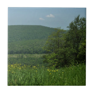 Laurel Highlands Pennsylvania Summer Photography Tile