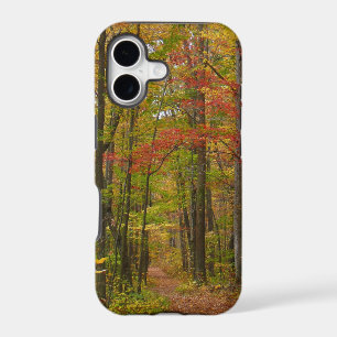 Laurel Hill Trail in Fall