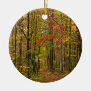 Laurel Hill Trail in Fall Ceramic Ornament