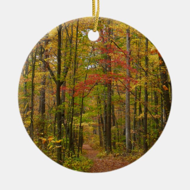 Laurel Hill Trail in Fall Ceramic Ornament (Front)