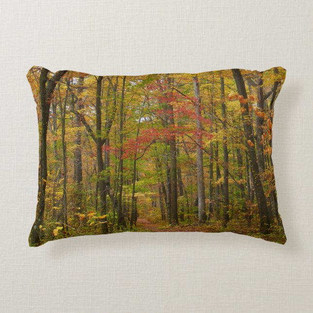 Laurel Hill Trail in Fall Decorative Pillow (Front)
