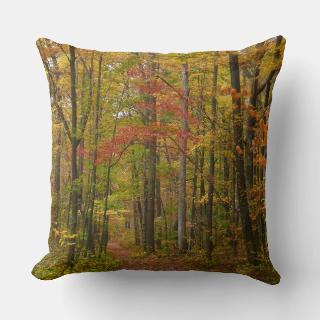 Laurel Hill Trail in Fall Throw Pillow (Front)