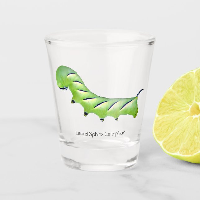 Laurel Sphinx Caterpillar Shot Glass (Front)