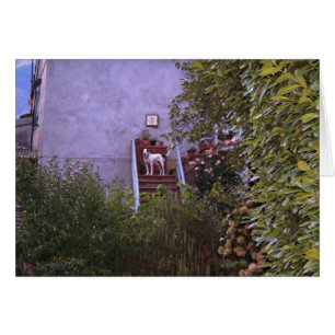 L'aurore de villa