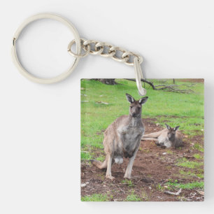 L'Australien Buck Kangaroo