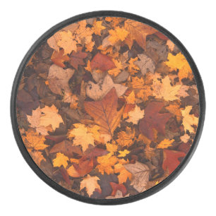 l'automne