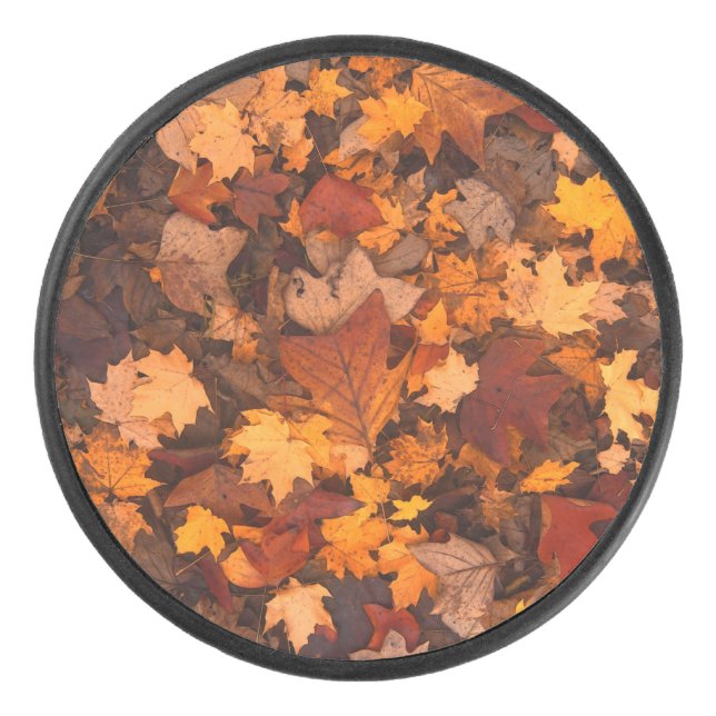 l'automne (Devant)