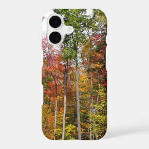 L'automne dans la forêt Photographie d'automne col