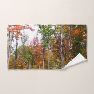 L'automne dans la forêt Photographie d'automne col