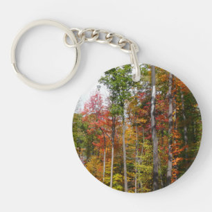 L'automne dans la forêt Photographie d'automne col