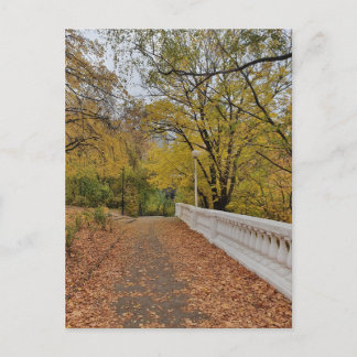 L'automne dans le vieux parc. Carte postale