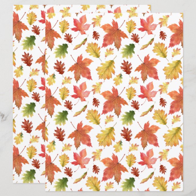 L'automne laisse le papier du cahier en blanc (Devant / Derrière)