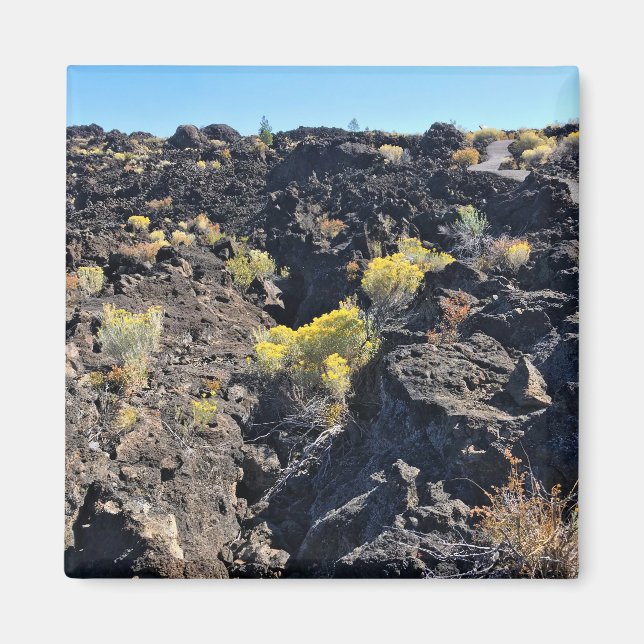 Lava Butte Trail, Oregon Magnet (Front)