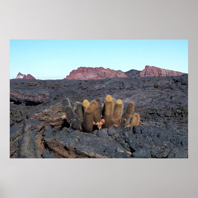 Lava Cacti Poster (Front)