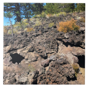 Lava Cast Forest, OR Tile