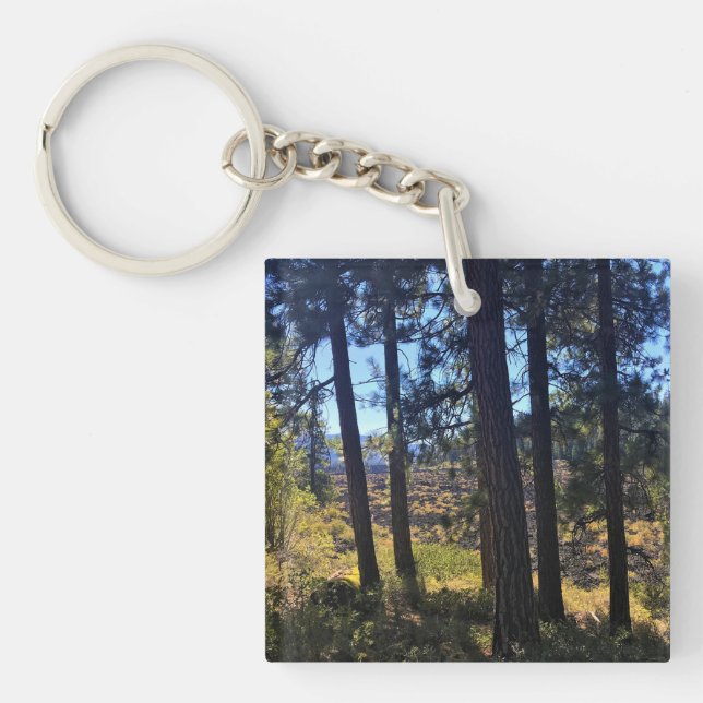 Lava Cast Forest, Oregon Keychain (Front)