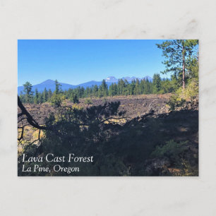 Lava Cast Forest, Oregon Postcard