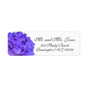 Lavande lilas violet Hydrangeas