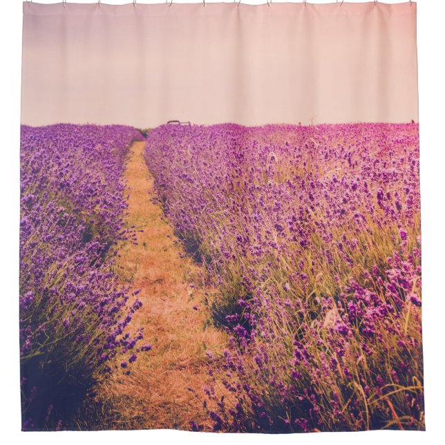Lavander (Front)