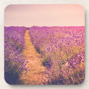 Lavander Coaster