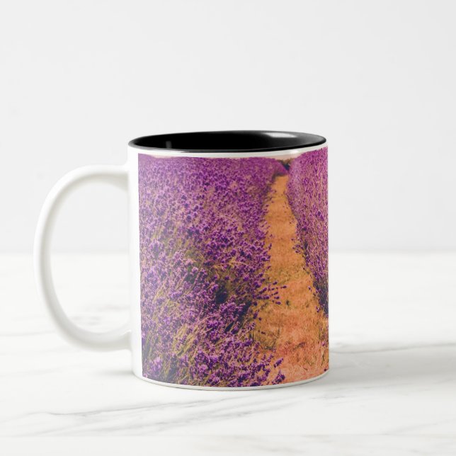 Lavander Two-Tone Coffee Mug (Left)