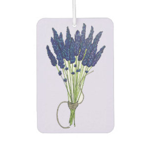 Lavandula Lavender Bunch Herb Purple Flower Garden Air Freshener
