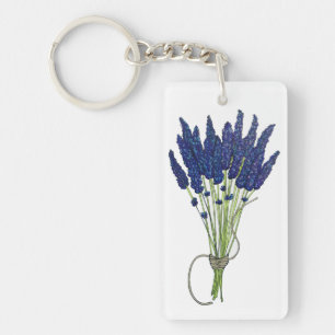 Lavandula Lavender Bund Herbe Jardin Fleur Violet