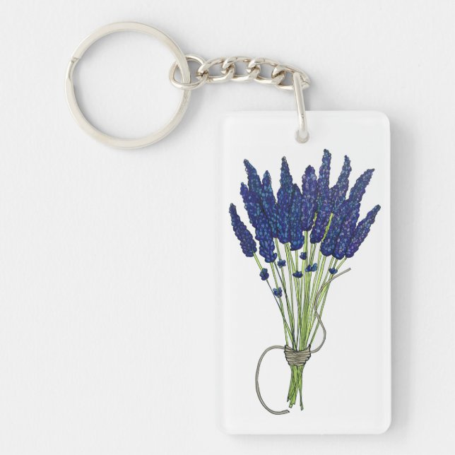 Lavandula Lavender Bund Herbe Jardin Fleur Violet (Devant)