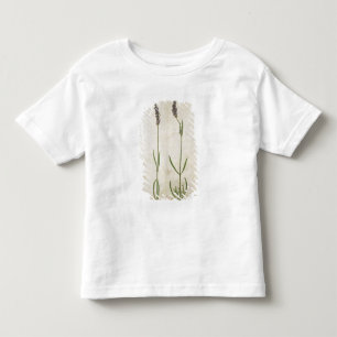 Lavandula officinalis (Old English Lavender), c.15 Toddler T-shirt
