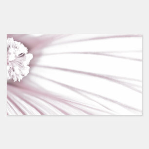 Lavatera Flower Macro Sticker