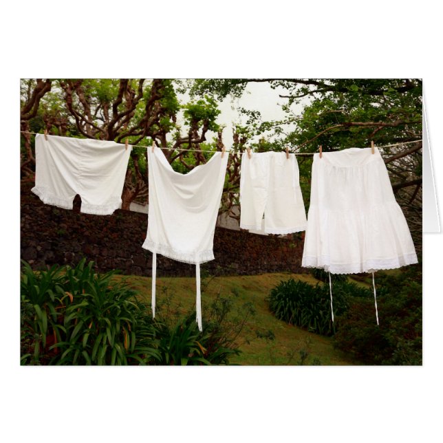 Lave-linge vintage (Devant horizontal)