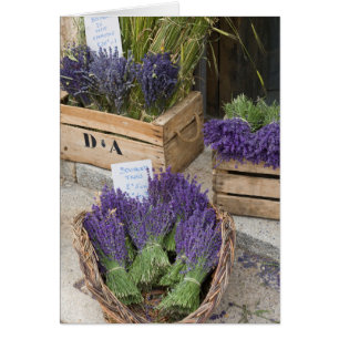 Lavendar à vendre, Provence, France